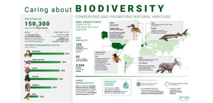 Miami Wildlife: Exploring the Biodiversity and Conservation Efforts in the Sunshine State